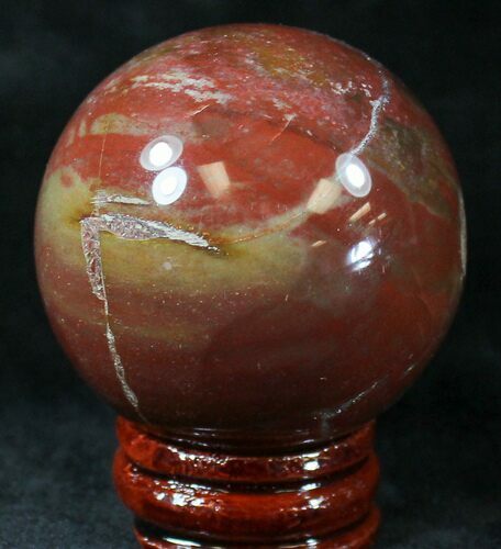 Colorful Petrified Wood Sphere #20648